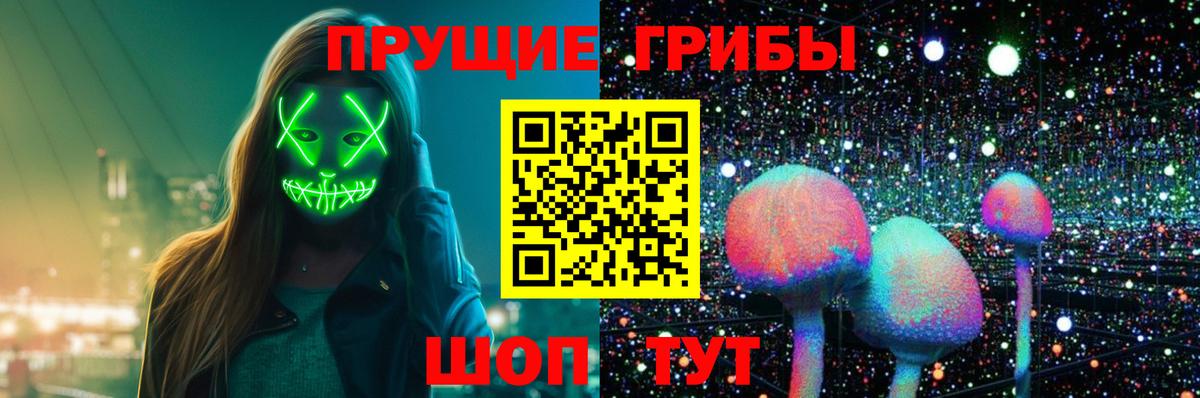 Галлюциногенные грибы GOLDEN TEACHER  купить закладку  Элиста  Вход с VPN 