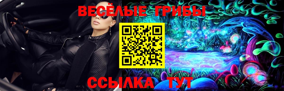 Псилоцибиновые грибы мухоморы Элиста